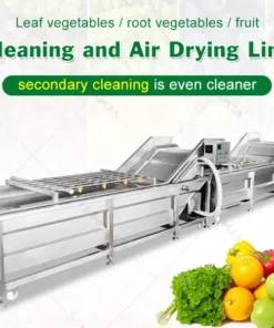 Fruit and vegetable cleaning machine equipment