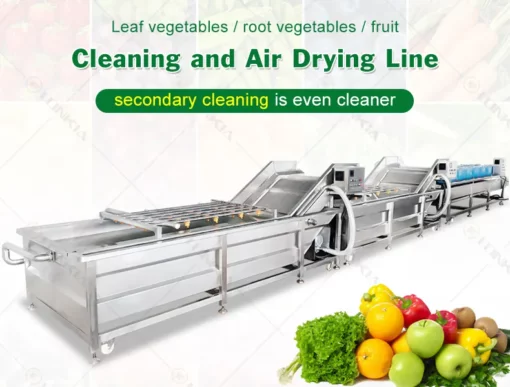 Fruit and vegetable cleaning machine equipment