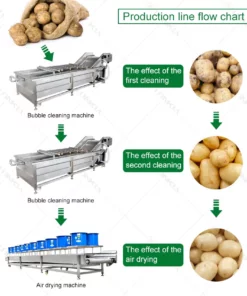 Fruit and vegetable cleaning machine equipment