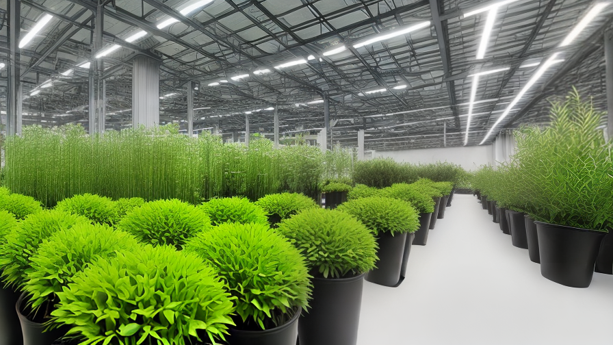 Artificial Plant Supplier