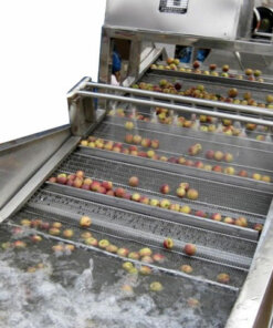 fruit washing machine