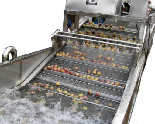 fruit washing machine