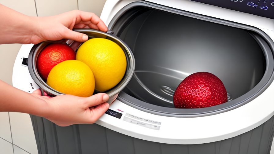 Fruit Washing Machine