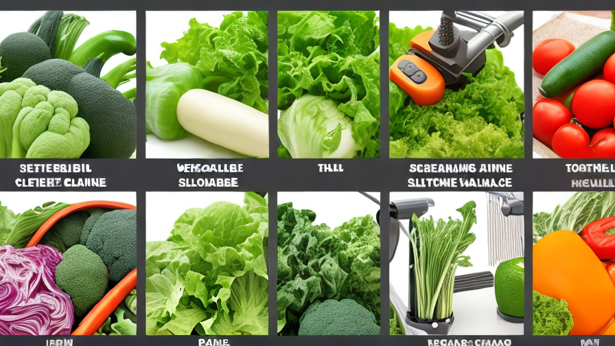 Vegetable Cleaning Machine