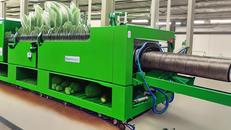 Vegetable Cleaning Machine