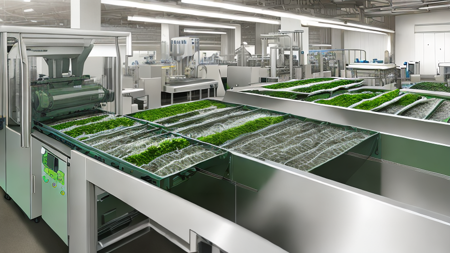 Vegetable Cleaning Machine