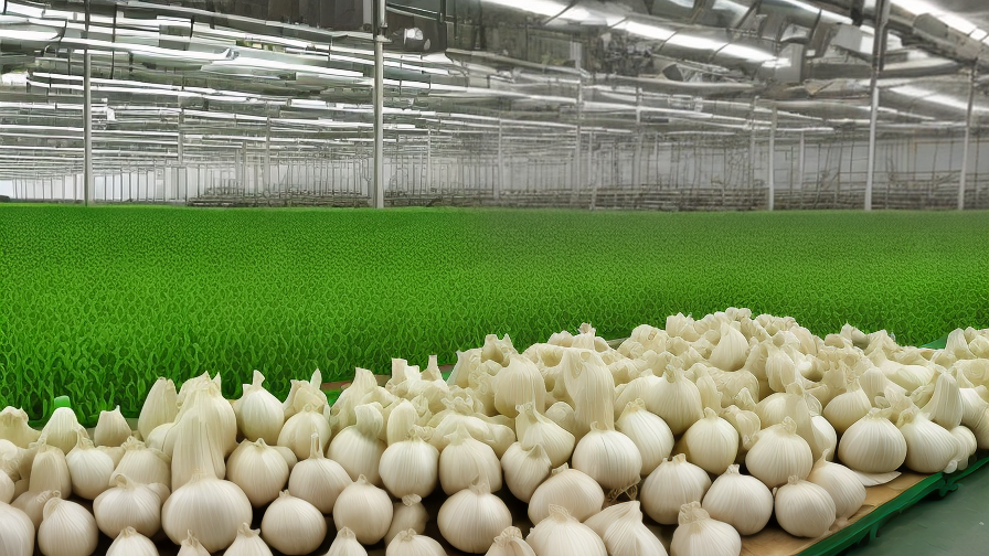 garlic factory