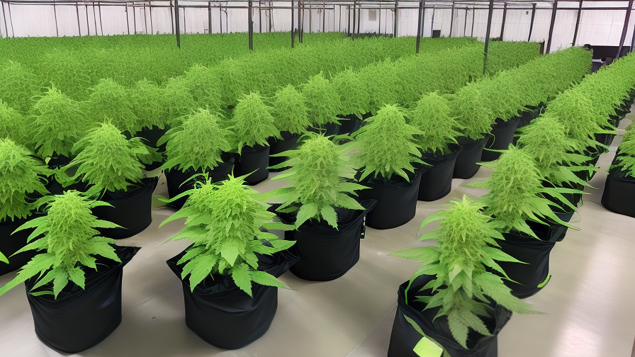 Wholesale Grow Bags
