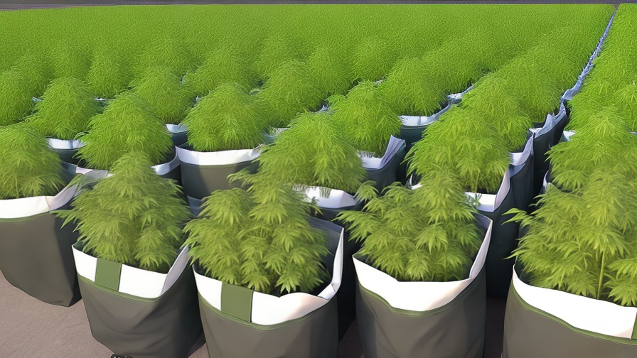 Wholesale Grow Bags