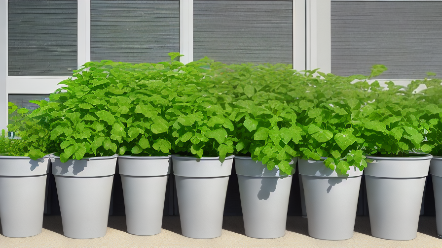 Wholesale Planters