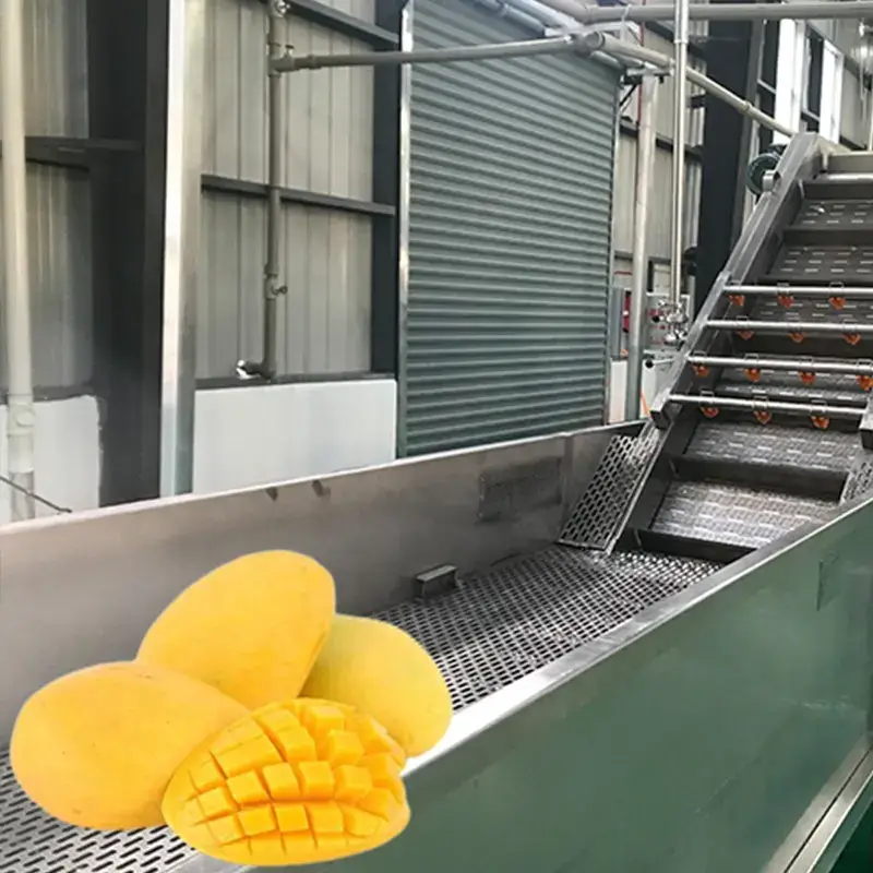 Roller type fruit washing sorting machines
