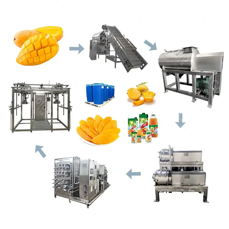 Roller type fruit washing sorting machines