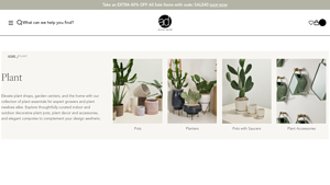 Accent Decor - Elevated Plant Pots and Accessories