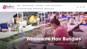 Ballice Hair - Wholesale Wigs & Mink Hair Products