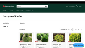 Bay Gardens - Evergreen Shrubs & Trees