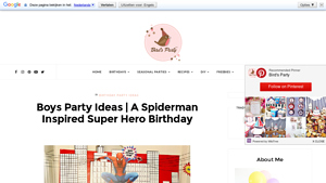 Bird's Party - Spider Hero Supplies