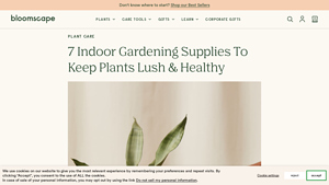 Bloomscape - Essential Plant Care Products