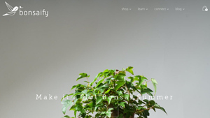 Bonsaify - Bonsai Trees & Tools
