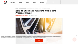 Bridgestone - DriveGuard Tires