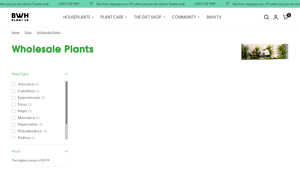 BWH Plant Co - Wholesale Houseplants