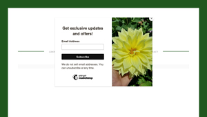 Capitol Wholesale Nursery - Diverse Plant Selection