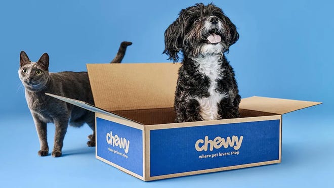 A stock image illustrating chewy dog supplies concepts