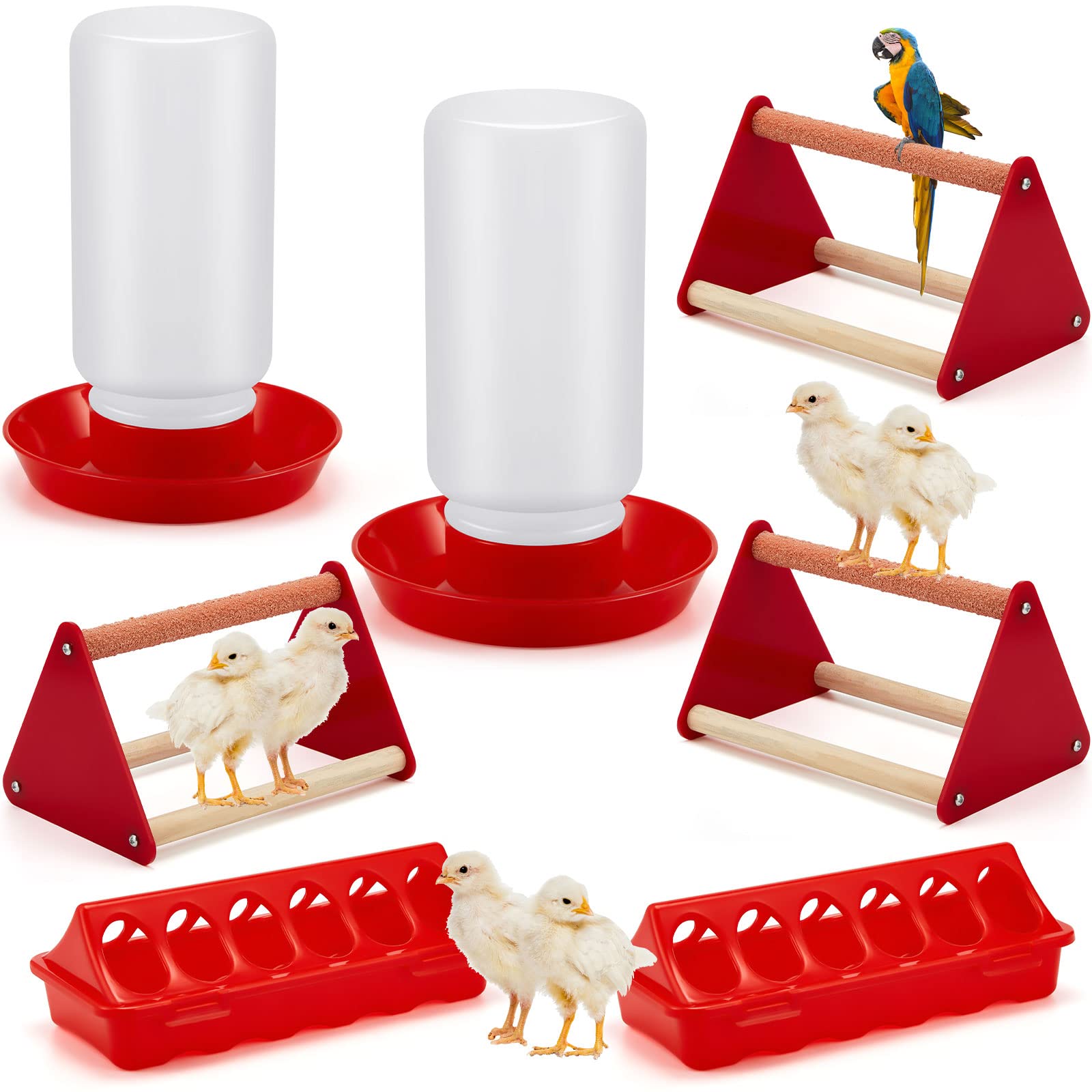 A stock image illustrating chicken supplies concepts