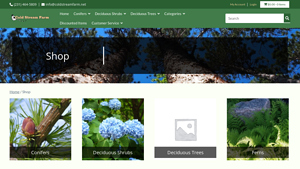 Cold Stream Farm - Wholesale Shrubs and Bare Root Trees