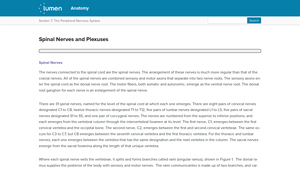 Lumen Learning - Nerve Plexuses Overview