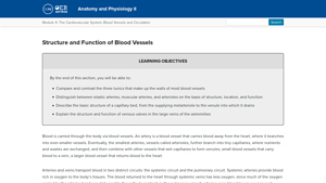 Lumen Learning - Capillary Perfusion Explained