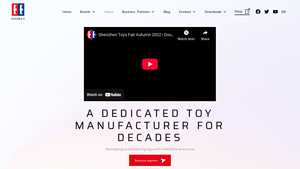 Double E Group - Remote Control Toys & Building Toys