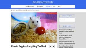 Dwarf Hamster Guide - Essential Care Products