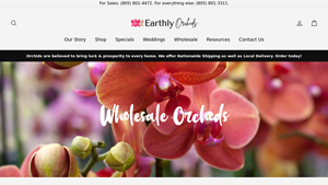 Earthly Orchids - Wholesale Orchids