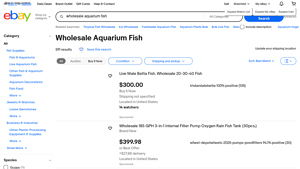 eBay - Live Male Betta Fish & Medaka Ricefish Eggs