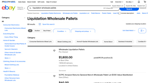 eBay - Liquidation Wholesale Pallets