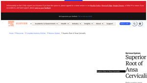 Elsevier - Superior Root of Ansa Cervicalis