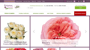 Flower Wholesale - Premium Roses and Hydrangeas
