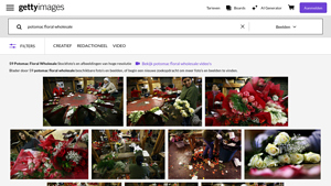Potomac Floral Wholesale - Floral Images