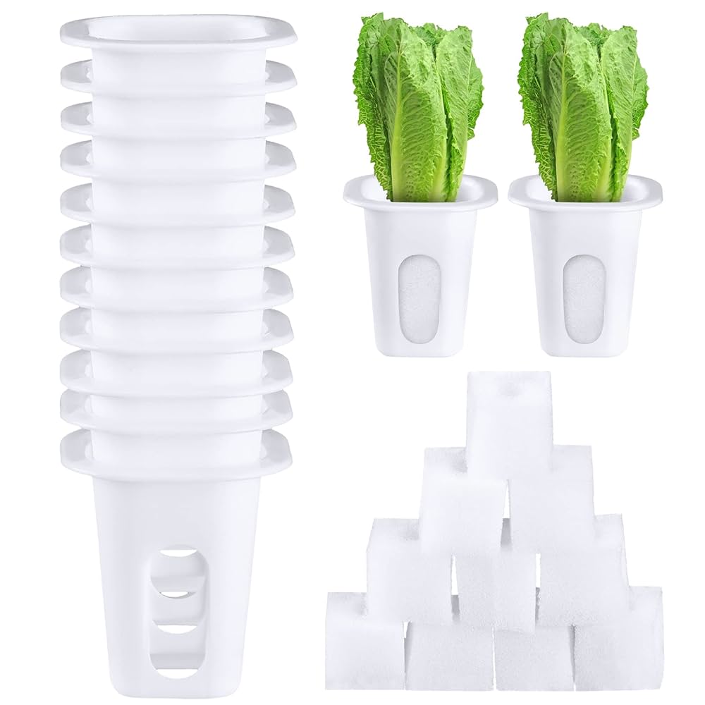 A stock image illustrating hydroponic supplies concepts