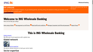 ING Wholesale Banking - Tailored Financial Solutions