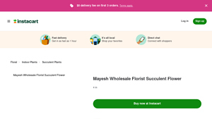 Mayesh Wholesale Florist - Succulent Flower (4 in)