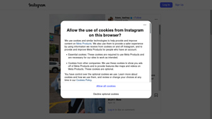 Instagram - Scraping Service