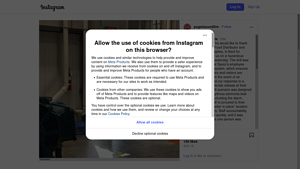 Instagram - Customizable Scraping Services
