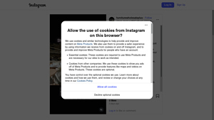 Instagram - Customizable Scraping Service