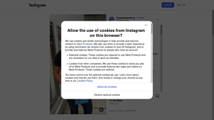 Instagram Scraping - Customizable Service