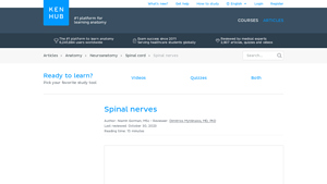 Kenhub - Spinal Nerves Overview