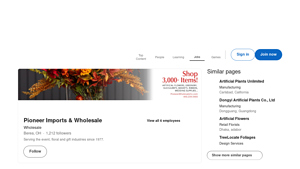 Pioneer Imports - Permanent Botanicals & Baskets