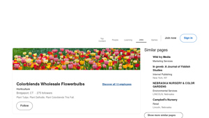 Colorblends - Top-Size Flower Bulbs