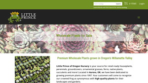 Little Prince of Oregon Nursery - Wholesale Plants
