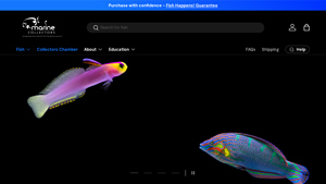 Marine Collectors - Premium Saltwater Fish